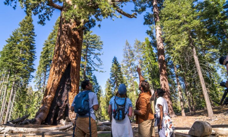 Yosemite National Park Remains Open Amid U.S. Government Shutdown