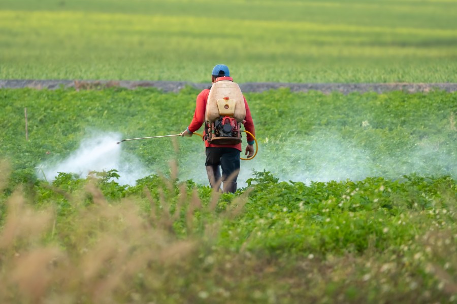 Cancer-causing pesticide nearly 1000X above safety limit in Fresno County town, state data reveals