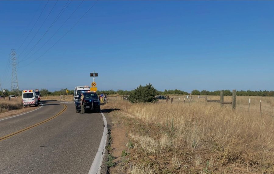 Motorcyclist dies after dog runs into roadway in Madera County, CHP says
