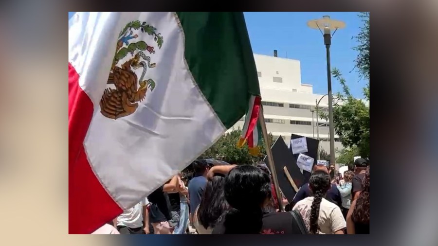 Why were foreign flags flown during Fresno's anti-ICE protest?