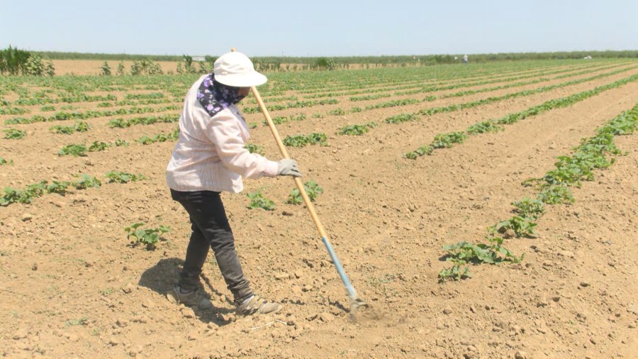 Firebaugh farmworkers to receive affordable housing