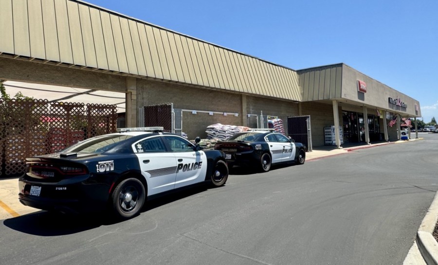 Man steals weed eater from Visalia store