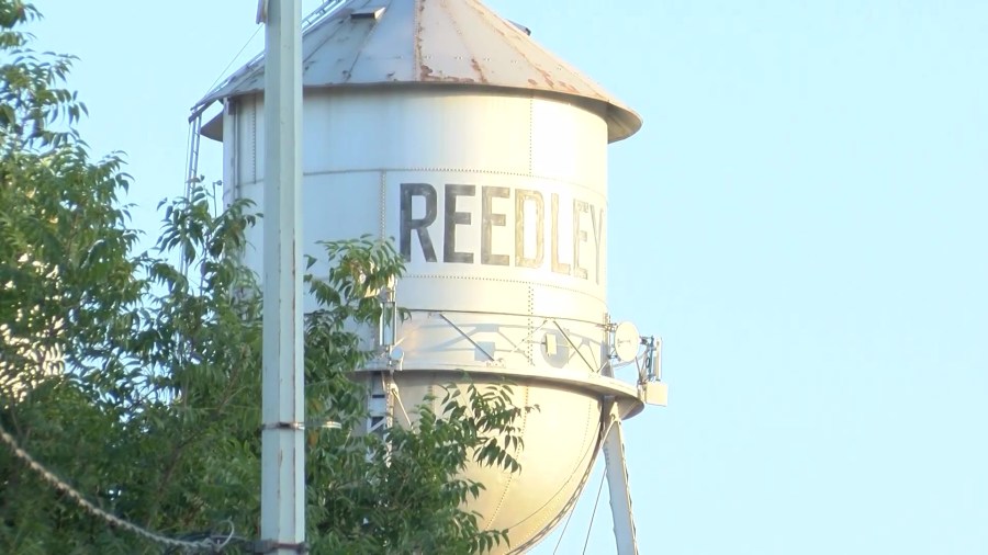New 14,000 Sq ft Library, illegal Reedley lab remnants, and Movie at the Pad