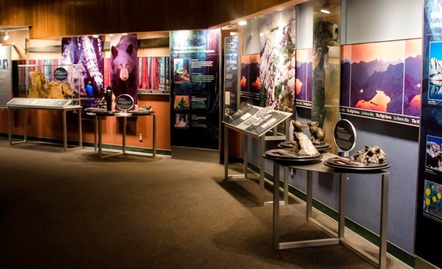 Winter storms cause power outage in Kings Canyon National Park