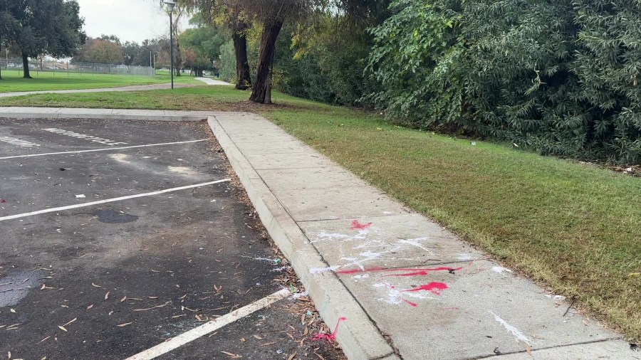 16-year-old boy killed in shooting near Corcoran park named by family