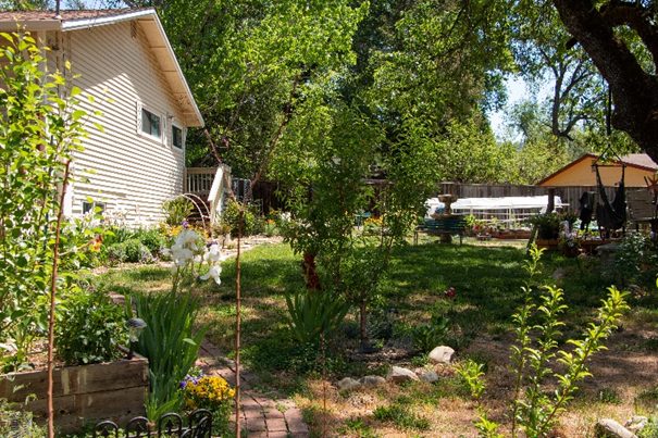 The Magical Splendor of a Moonlight Garden