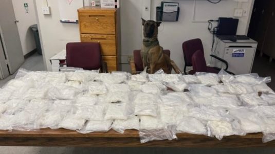 Tulare County K-9 finds nearly 100 lbs of meth in bust