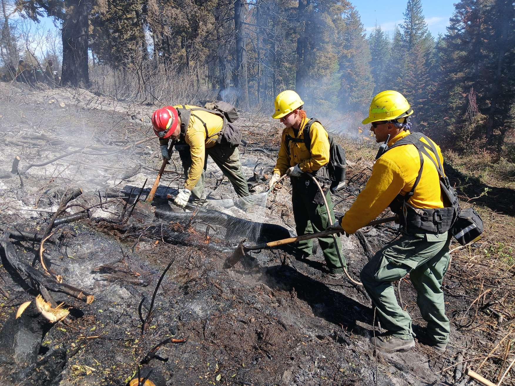 IDBOF Claremont Fire