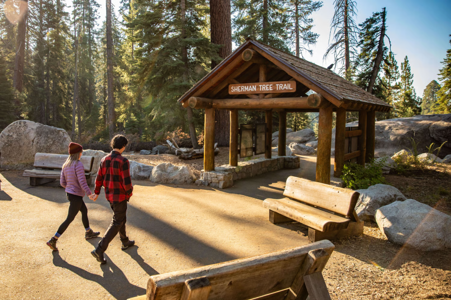 Tourist dies along popular Sequoia National Park trail