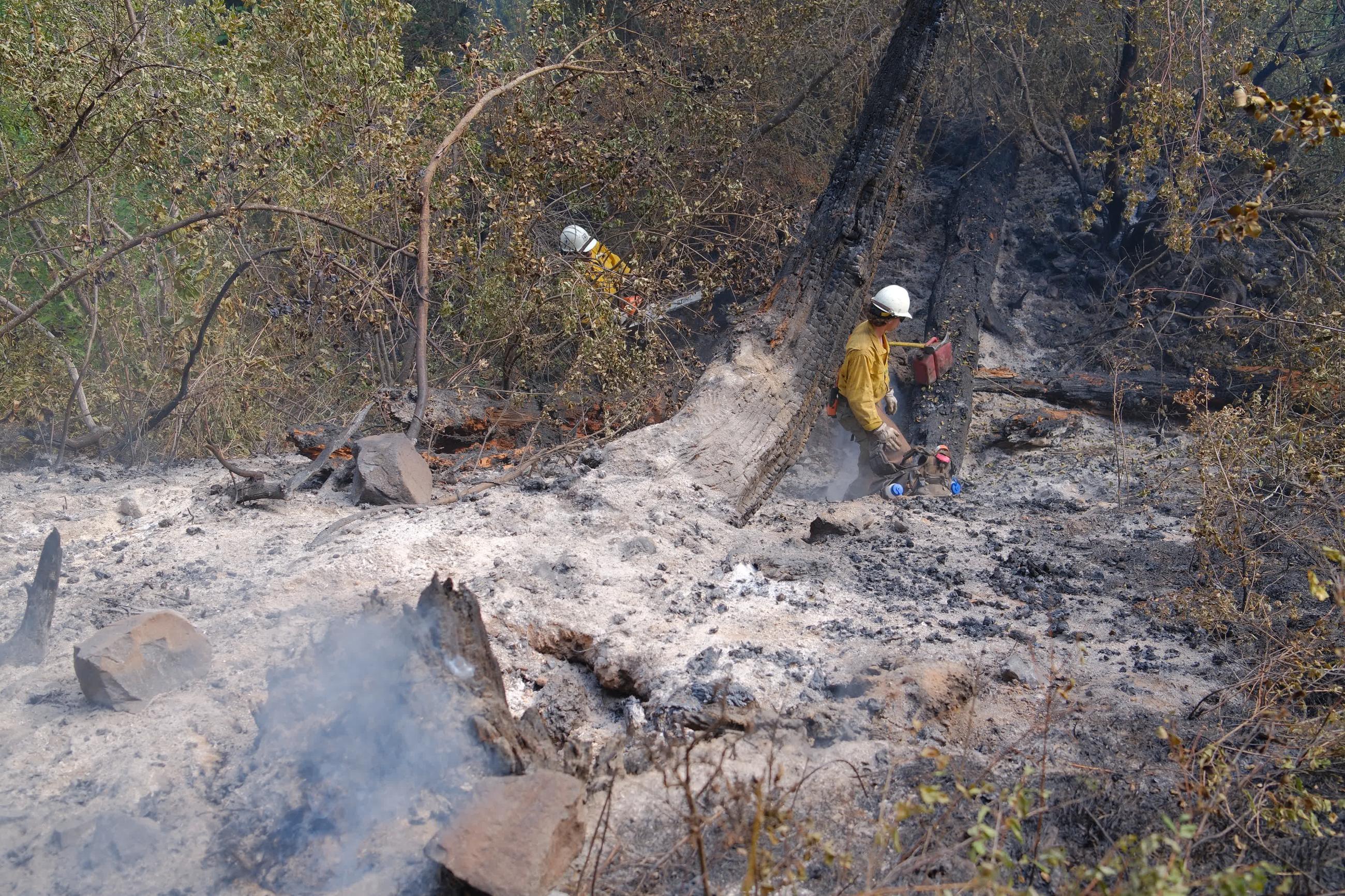 ORUMF Horse Ridge Fire