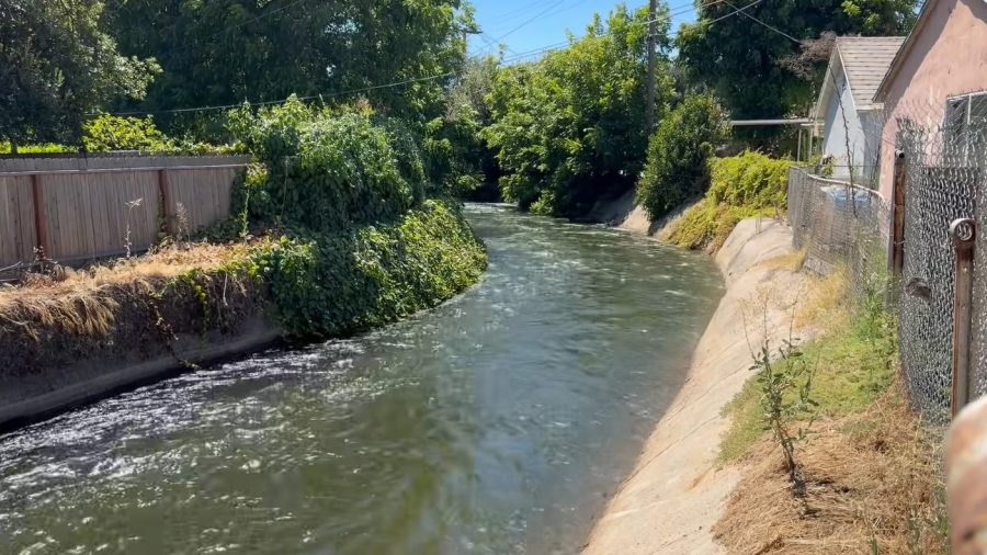 Man and his dog rescued from a canal in Fresno, officials say