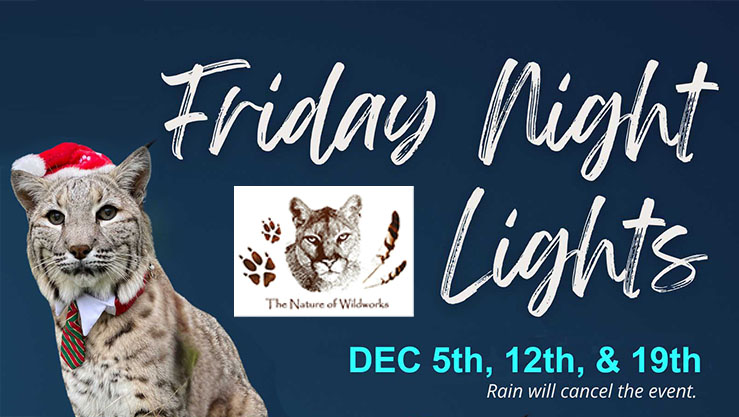 2nd Annual Friday Night Lights At The Nature Of Wildworks